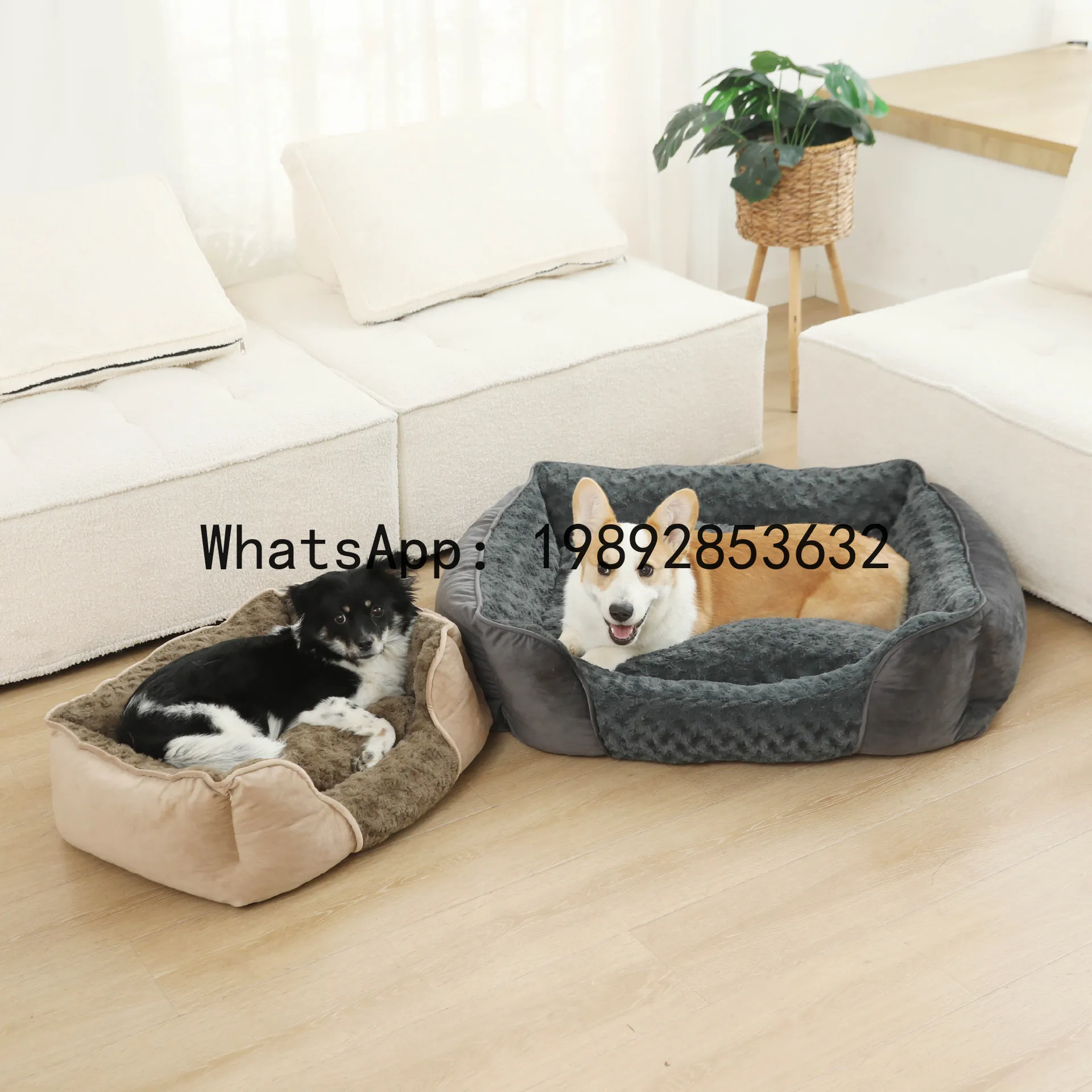 Pet X Supplies & Tack Reviews - X cat house semi-enclosed dog kennel