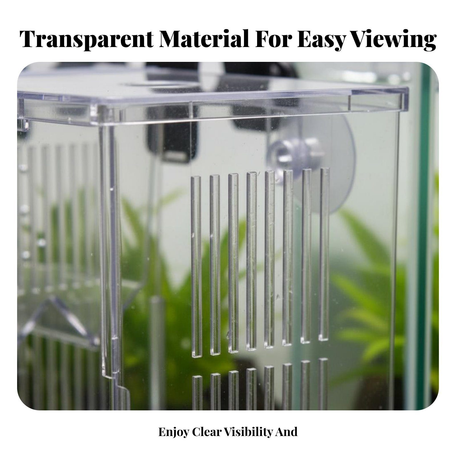 Aquatic Habitat Hatchery Box P - Aquarium Fish Tank review and price
