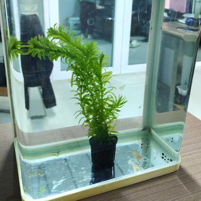 4Pcs Pet Fish Tank Landscaping - Aquarium Fish Tank review and price