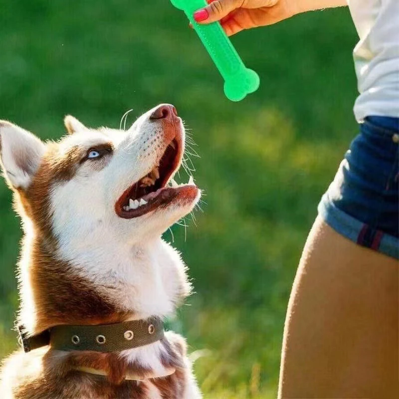 Super Tough Dog Bone Chew Toy  - Training Clicker Dog review and price