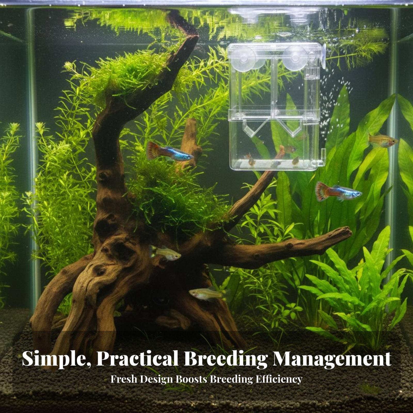 Double Layer Aquarium Breeding - Aquarium Fish Tank review and price