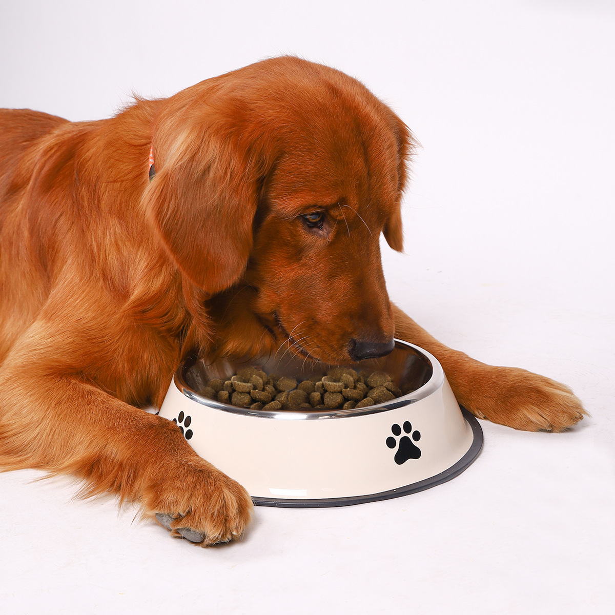 Stainless steel large capacity - Pet Supplies Dog Food review and price