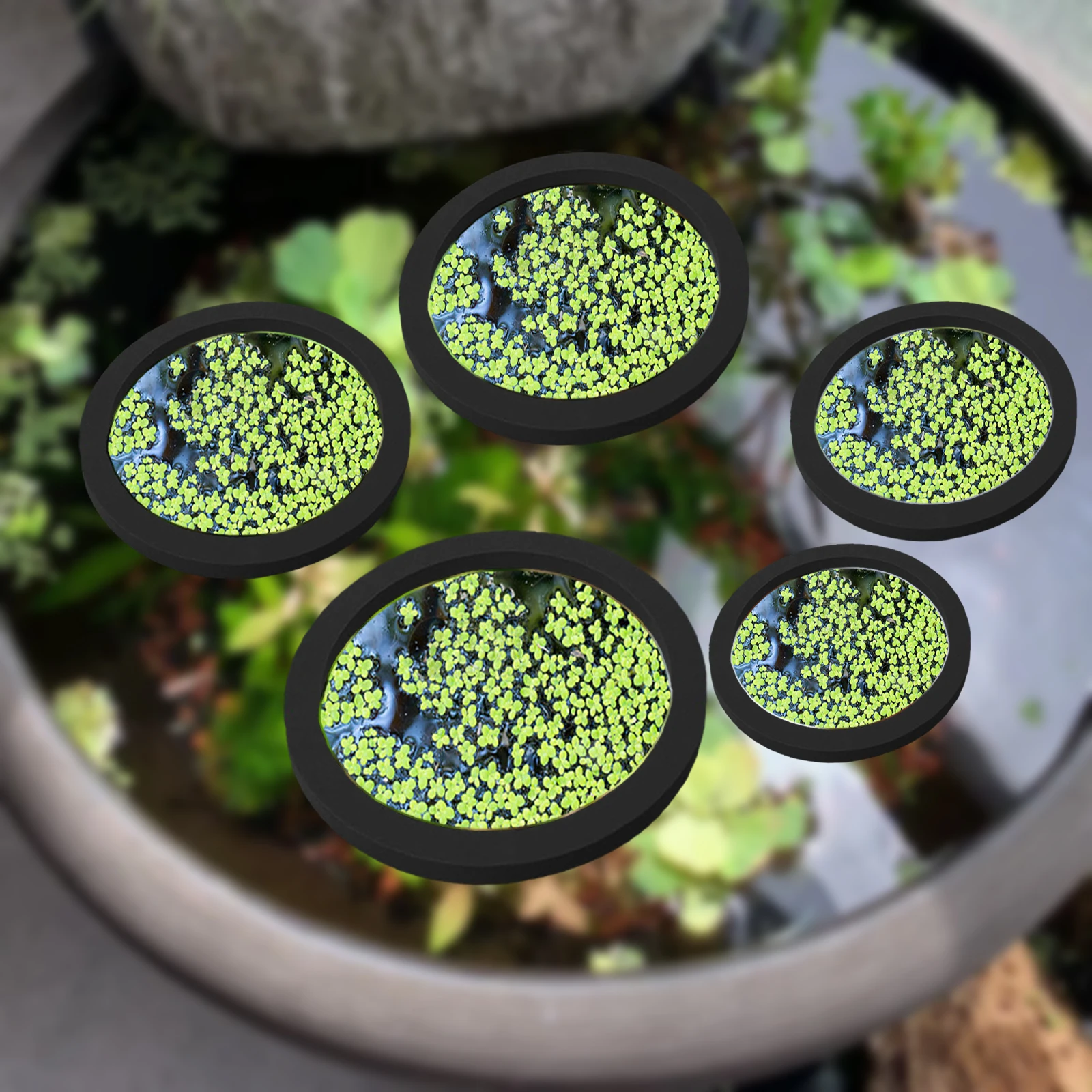 5Pcs EVA Fish Feeding Ring Aqu - Aquarium Fish Tank review and price