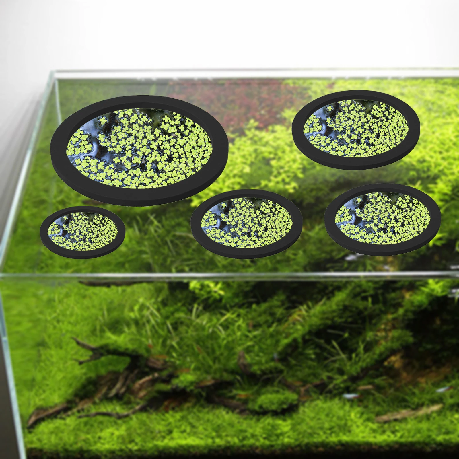 5Pcs EVA Fish Feeding Ring Aqu - Aquarium Fish Tank review and price