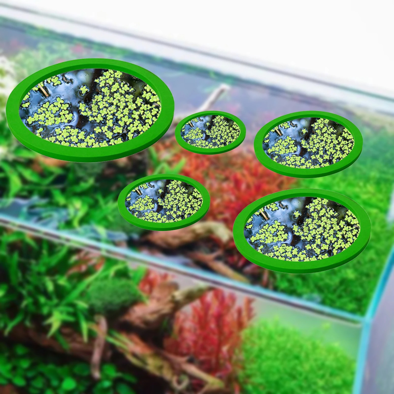 5Pcs EVA Fish Feeding Ring Aqu - Aquarium Fish Tank review and price