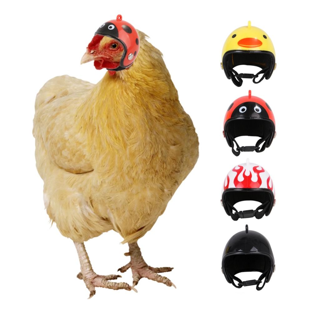 ABS Pet Supplies Funny Pet Pro - Pet X Supplies & Tack Reviews review and price