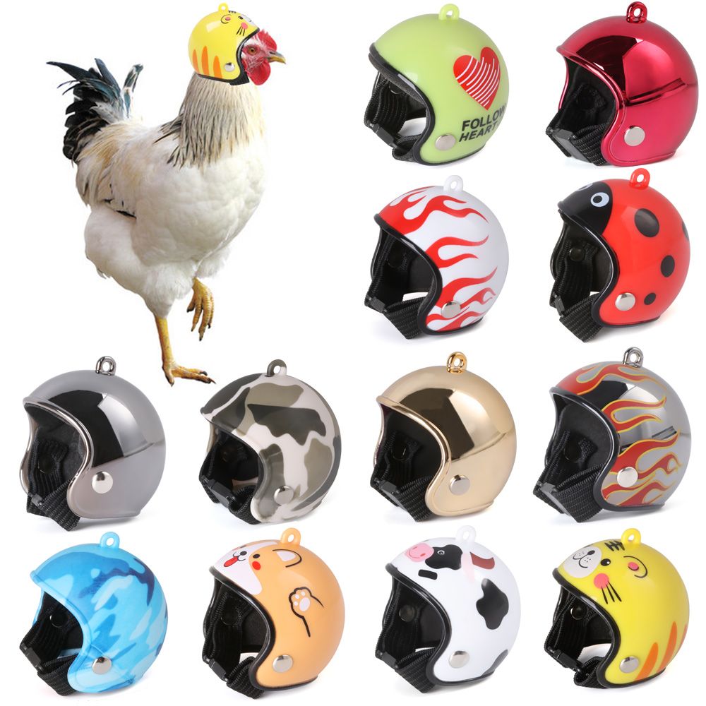 ABS Pet Supplies Funny Pet Pro - Pet X Supplies & Tack Reviews review and price