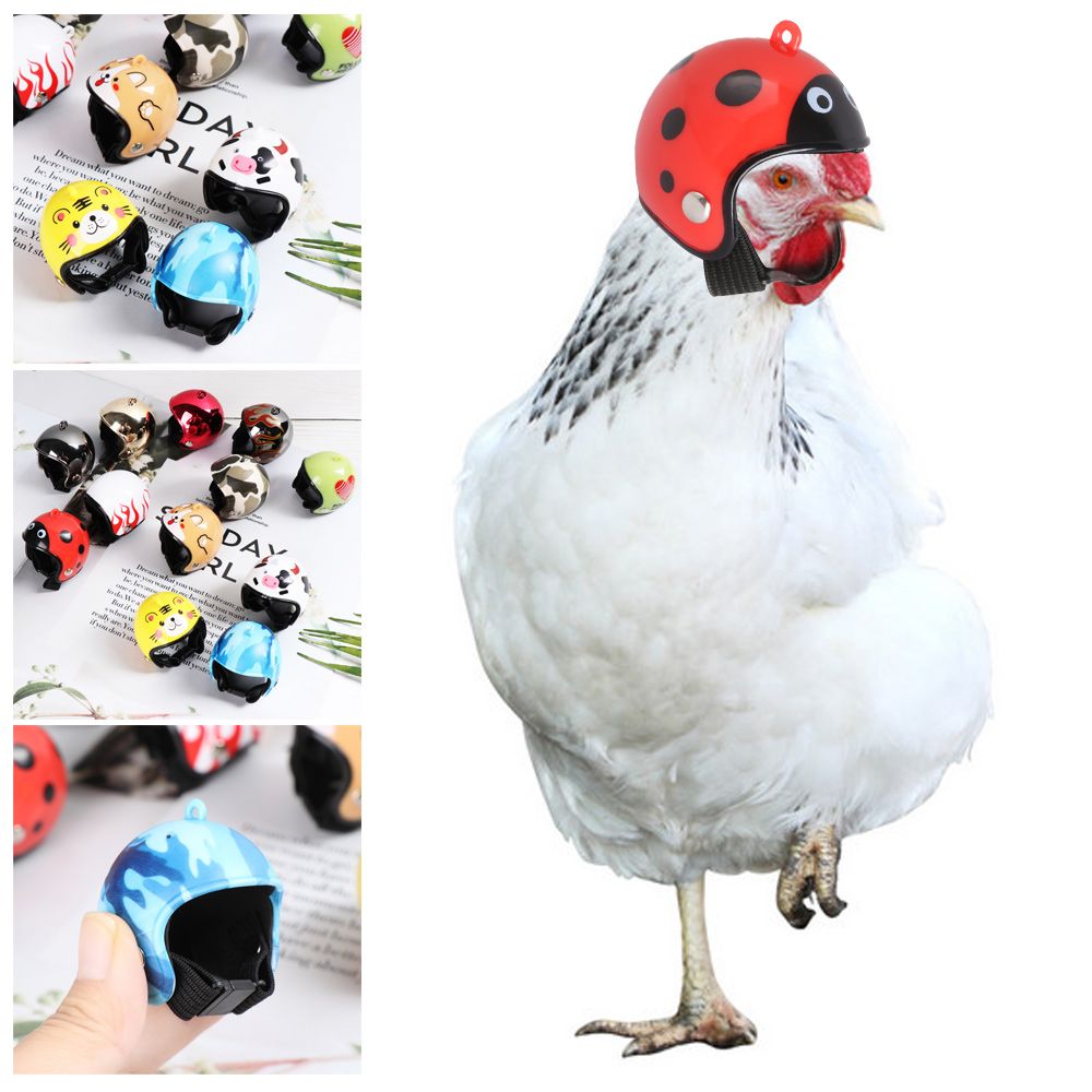 ABS Funny Pet Supplies Pet Pro - Pet X Supplies & Tack Reviews review and price